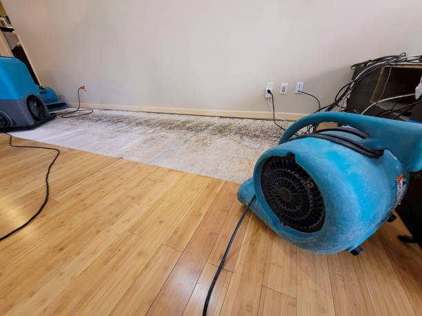 Professional Sewage Cleanup technician working in Midway, GA
